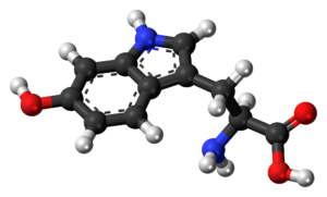 5-htp reaction