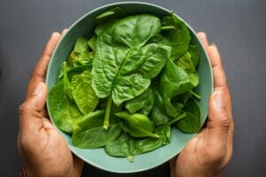 leaves in a blue plastic bowl