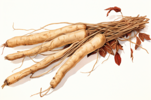 korean ginseng