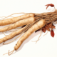 korean ginseng