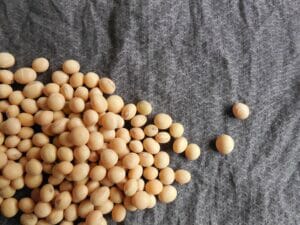 soybean benefits