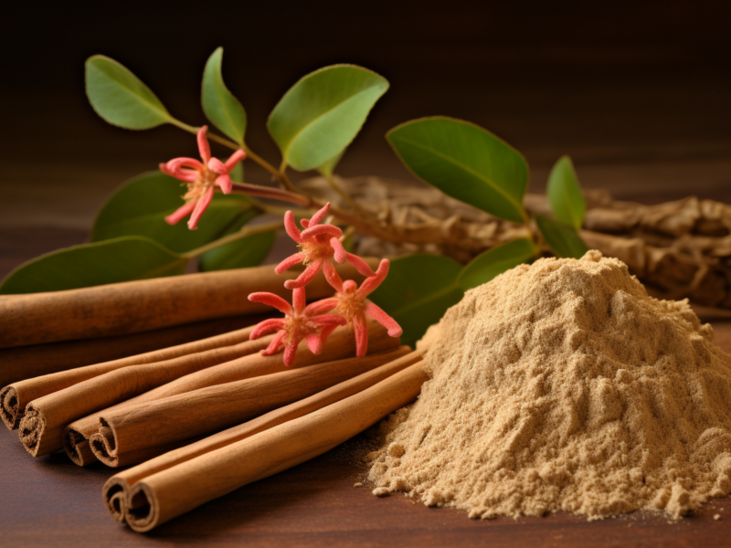 ashwagandha root extract 