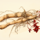 ginseng and diabetes management