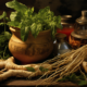 ginseng and herbal interactions