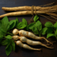 benefits of ginseng