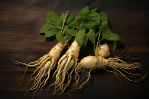 roots of ginseng