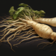 types of ginseng