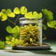 ginkgo biloba and depression support