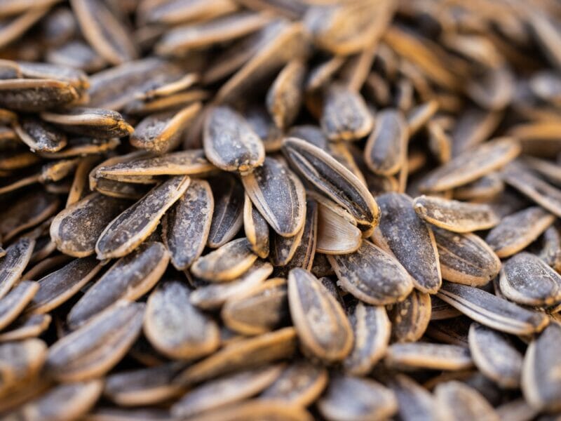 sunflower seeds