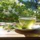 green tea extract and Its potential benefits