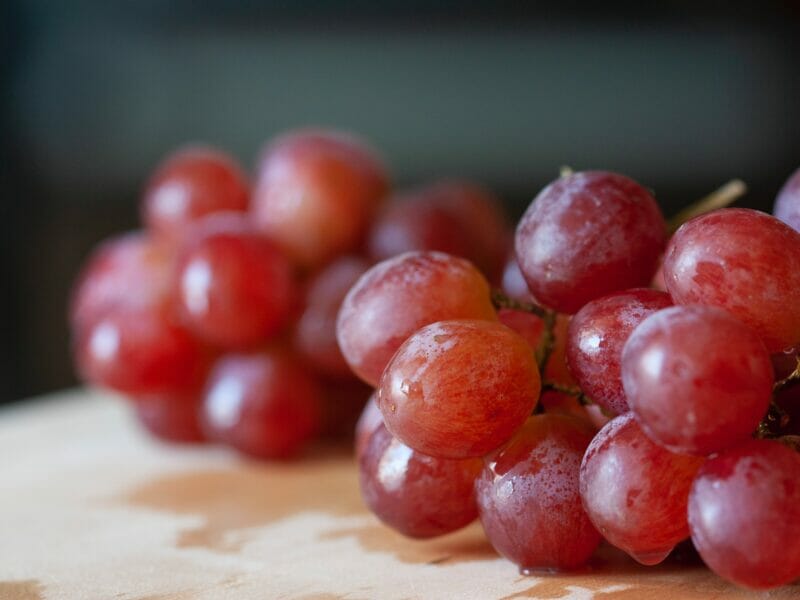 resveratrol in red grapes